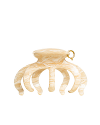 The Cloud Clip in Champagne
