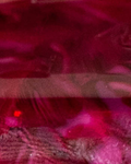Merlot